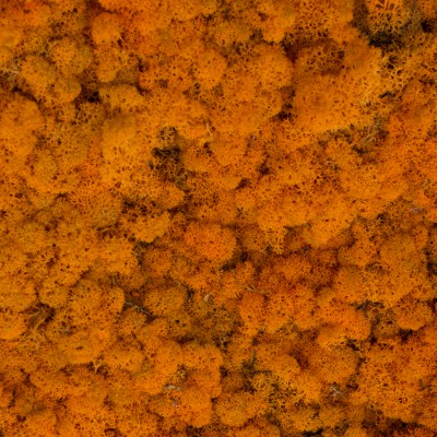 51_autumn