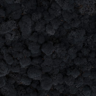 52_black
