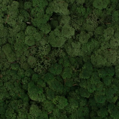 54_mossgreen