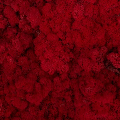 57_red