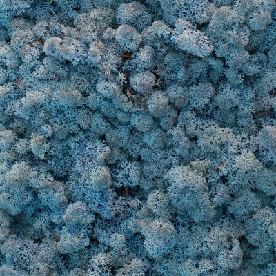 59_iceblue