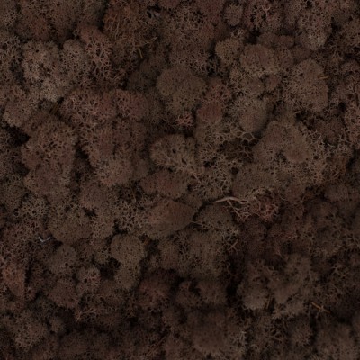 65_brown