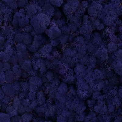 67_purple