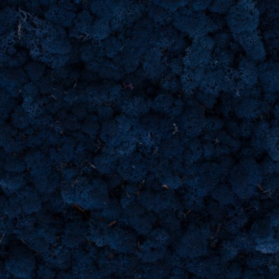 84_classicblue
