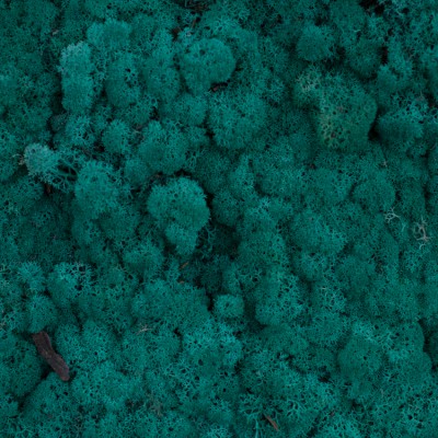 87_pacificgreen