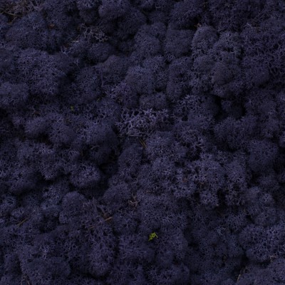 88_aubergine
